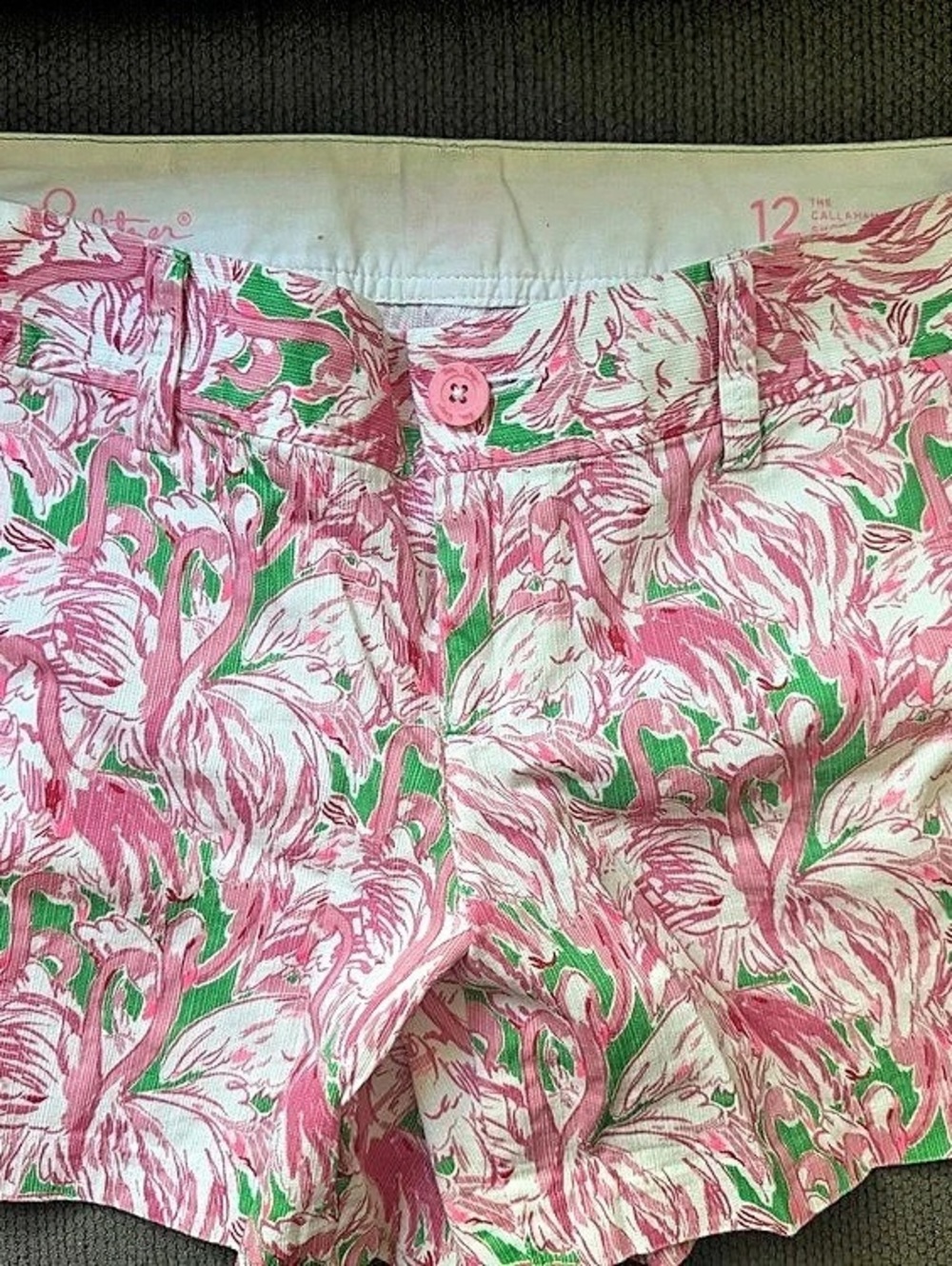 Lilly Pulitzer The Callahan Short Floral Shorts Pink & Green Size 12
